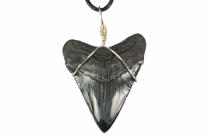 Fossil Megalodon Tooth Necklace #130381